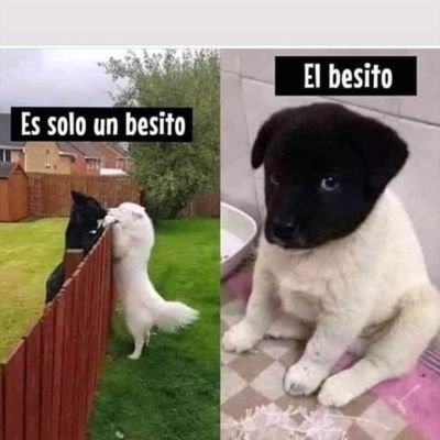 Wiliams642's profile picture. no se q es aixo LITERAL