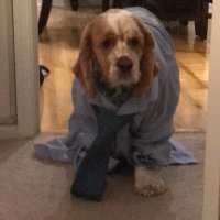 substantive jesting (@extended_terms) 's Twitter Profile