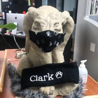 Clark HS Library (@clarktxlib) 's Twitter Profile