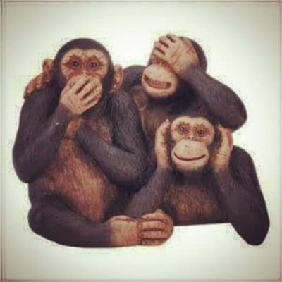 NC90554568's profile picture. Só espiando