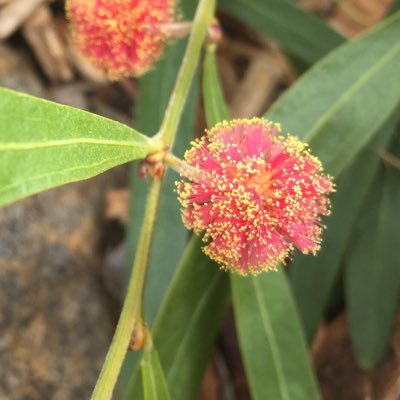 FergusBrisso's profile picture. 