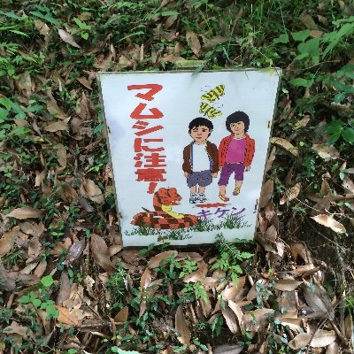 数年前まで、総合格闘技のプロとして活動してました。 2012年には修斗と言う総合格闘技団体でバンタム級（56kg）新人王にもなりましたが、禿げたので引退して今はキャンプYouTuberぽい事してます🏕