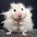 Cutiepie (@cutiepi78209308) Twitter profile photo Cutiepie (@cutiepi78209308) Twitter profile photo