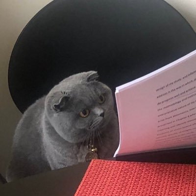 AmandaZuleta's profile picture. Michis 🐱