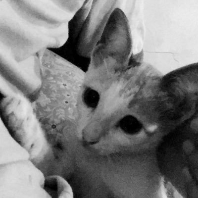 blameyourself00's profile picture. 