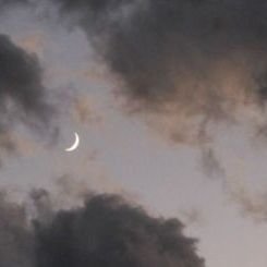 AE_ST_HE_TI_CS's profile picture. He/she/they 🌈