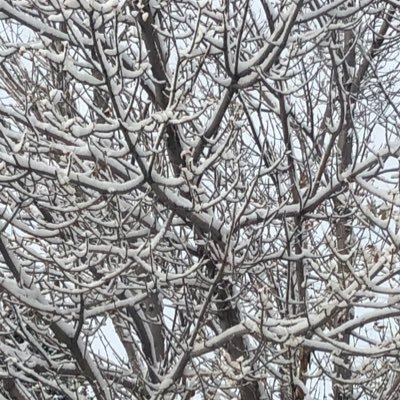 girludono's profile picture. Why wish upon a star when you can pray to the one who created it?