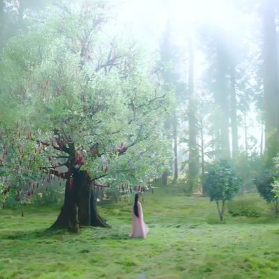 oanhoan78379111's profile picture. Thom