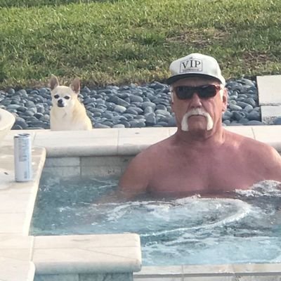 Professional snake catcher 🐍🐍🐍 part-time streamer and a cool dude 😎.
member of the Kitchen Krew and social media manager.