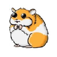 studio_homa's profile picture. Homa Studio