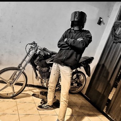 YlwnYogi's profile picture. 