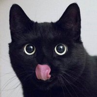 M2 (@sumritht) 's Twitter Profile