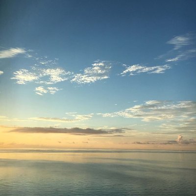 nizarus1's profile picture. 