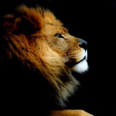 e_v_eeeee's profile picture. Who am I? I am so many things but above all, I am a Diamond! What do I do? well, I am aviator and a gadget plug.