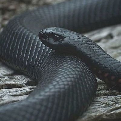Httperror15's profile picture. heyy