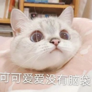 PXt6XelBY0FyHJy's profile picture. 坐标杭州0571 宝妈有🚪 不卖   仅好友位抽约