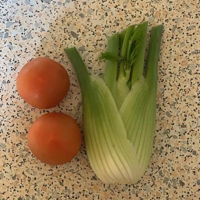 Akita26028774's profile picture. 