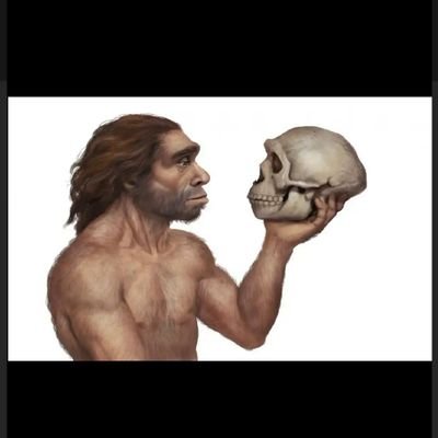 fau_05's profile picture. 