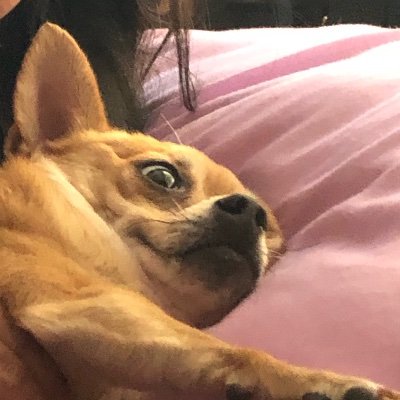 omgshtap's profile picture. howdy 🤠