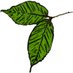 Halliday Lab (@hallidaylab) Twitter profile photo Halliday Lab (@hallidaylab) Twitter profile photo
