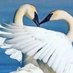 طيبه (@taiba1000) Twitter profile photo طيبه (@taiba1000) Twitter profile photo