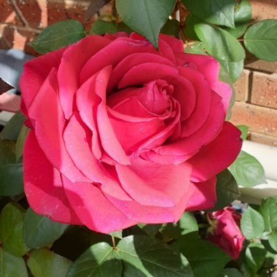 Nick23780202's profile picture. 