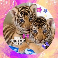 ๐พ๐ฏ๐๐๐๐๐ & ๐๐๐๐๐๐ฃ - Zimmerman ๐ฏ๐พ (@molly_tigger20) 's Twitter Profile