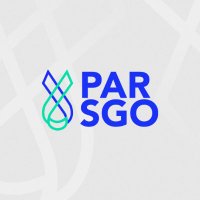 PARSGO(@PARSGO_Official) 's Twitter Profile Photo