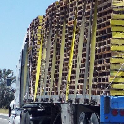 TLogitics's profile picture. pallet business and solutions