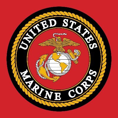 USMC veteran / Game Enthusiast. I'm usually Gaming. It is a stress relief from the real world.....