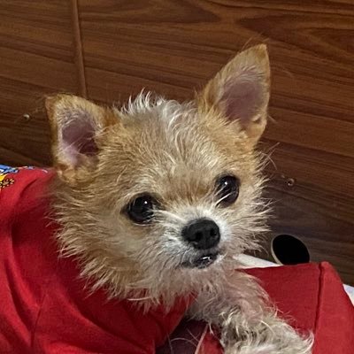 tida02062510's profile picture. 