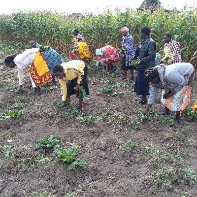 Women livelihoods, Youth Empowerment, Small Scale farmers,  food security, secure tenure, environmental conservation and climate change mitigation