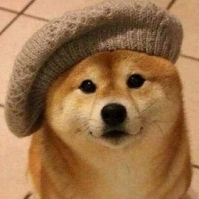 JD_Marchewa's profile picture. 