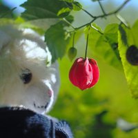 ダーク (@darkmf55) 's Twitter Profile Photo ダーク (@darkmf55) 's Twitter Profile Photo