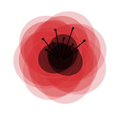 #PoloniaNIEmaWyboru powstała spontanicznie w kwietniu 2020, jako sprzeciw wobec wykluczenia Polonii z możliwości oddania głosu w wyborach prezydenckich.