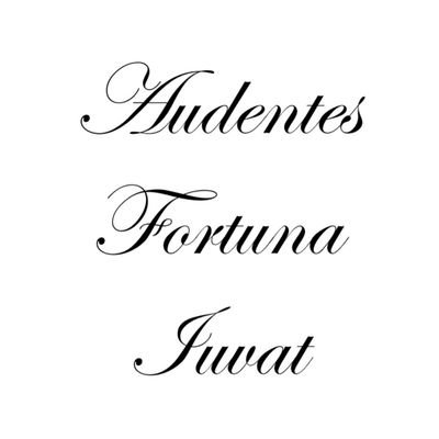 JosCebrian1's profile picture. Código Myinvestor: CROHX