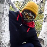 Janet Wyllie (@weedragon_j) 's Twitter Profile Photo