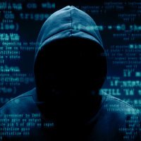 Cyber Sycophante (@cybersycophante) 's Twitter Profile Photo