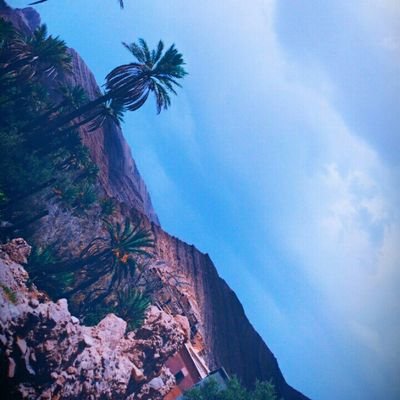 XEETViASEcYA4Rk's profile picture. 