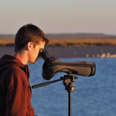 PhD student in bird migration at Lund University
Birdwatcher. Biologist. Art.
Copenhagen & Extremadura