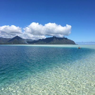 CryptoBoom50's profile picture. I am a Crypto Enthusiast primarily bullish in XRP greatly appreciative of the XRP Community and attempting to catch the ultimate Paradigm Shift of any lifetime
