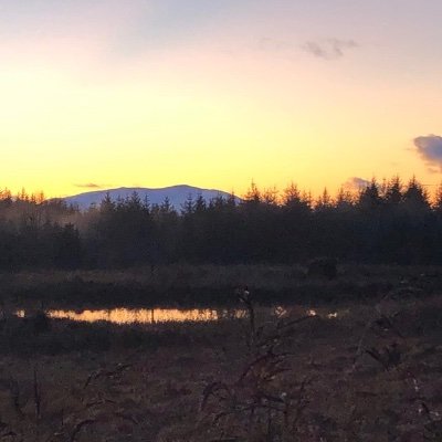 Jon99897475's profile picture. 