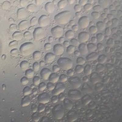 z_hNNa's profile picture. 