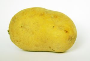 I_Say_Potato's profile picture. 