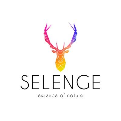 Selenge Art