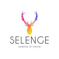 Selenge Art (@selengeart) 's Twitter Profile