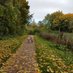 RewildWarrington (@hollyhollyholbo) Twitter profile photo RewildWarrington (@hollyhollyholbo) Twitter profile photo