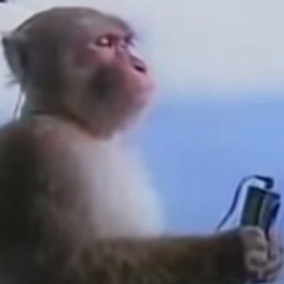 Gabriel12226159's profile picture. absolutely gone for the woods.