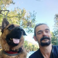 Geoff (@twosmellydogs) 's Twitter Profile Photo Geoff (@twosmellydogs) 's Twitter Profile Photo