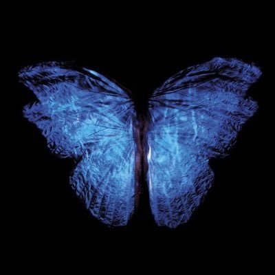 nyu9ay's profile picture. how can i make this abt chanhee | fan account THEY / FAE / COO / SHE